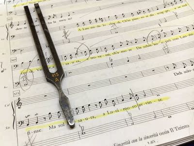A working score of 'Il Tirinto'
