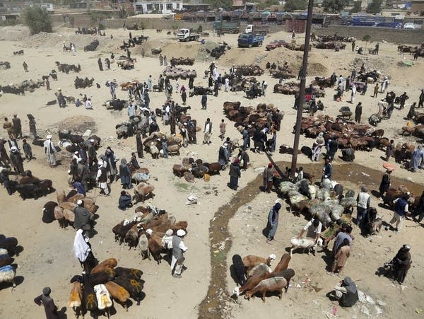 Afghanistan Eid al-Adha