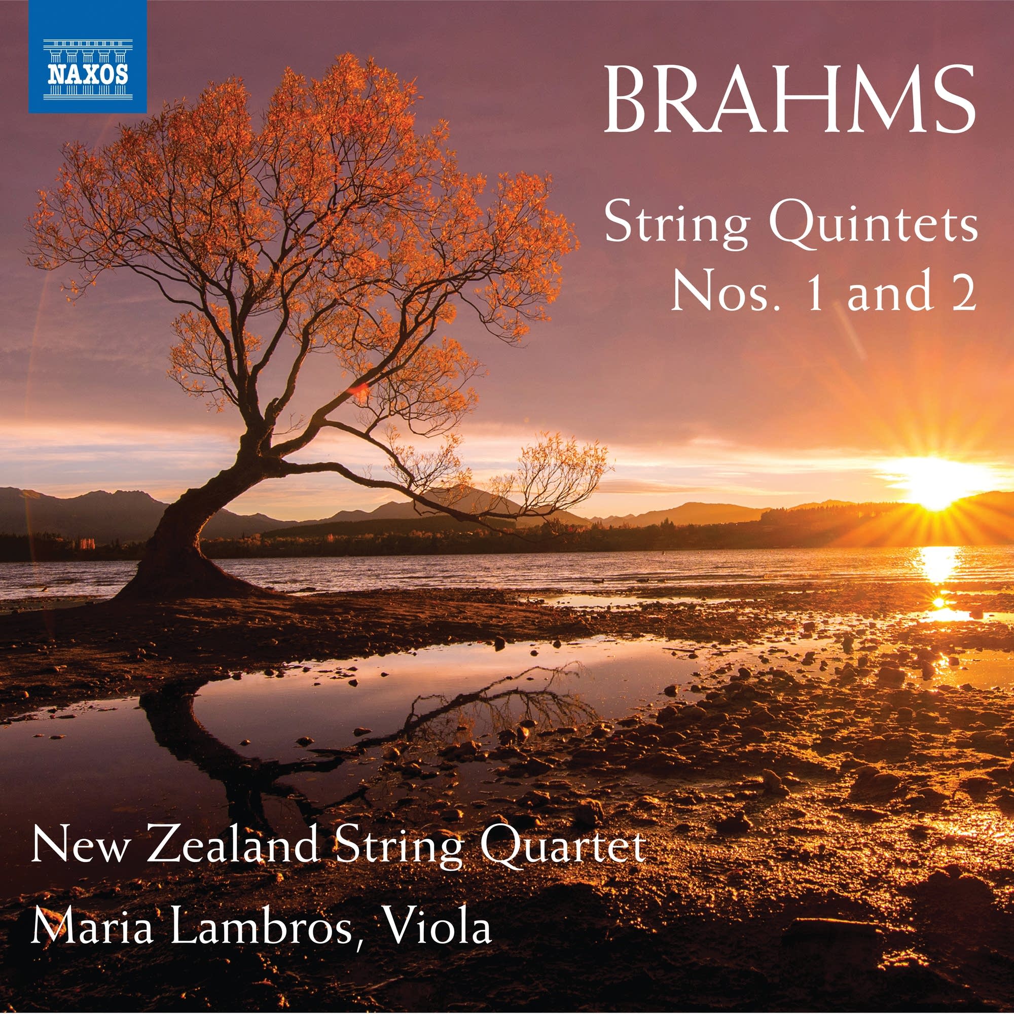Daily Download Johannes Brahms String Quintet No. 2 IV. Vivace ma