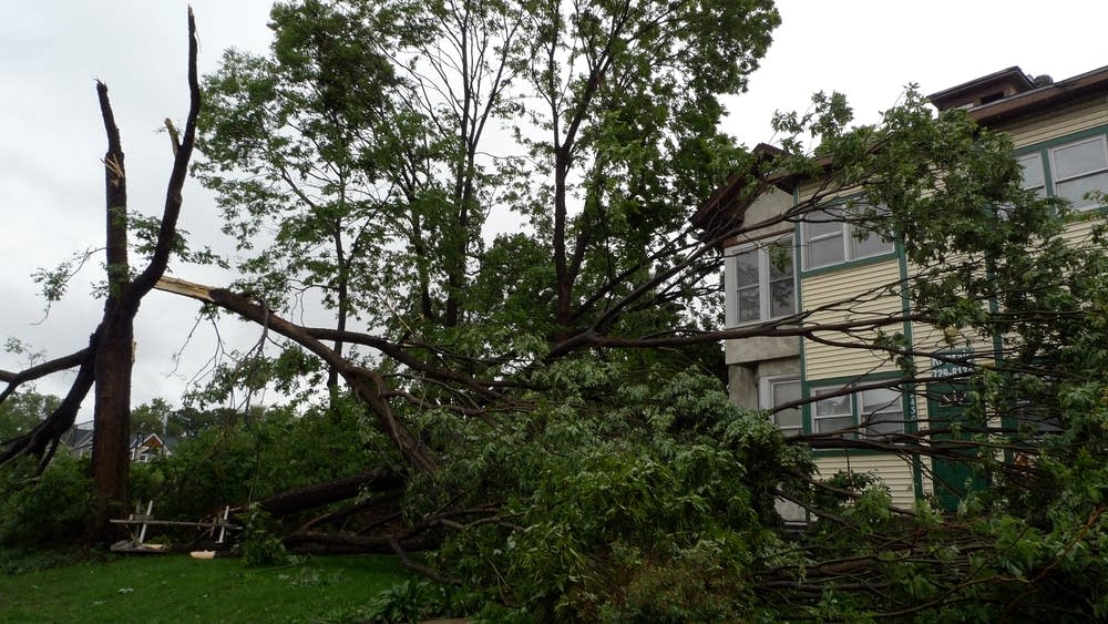 Storm damage