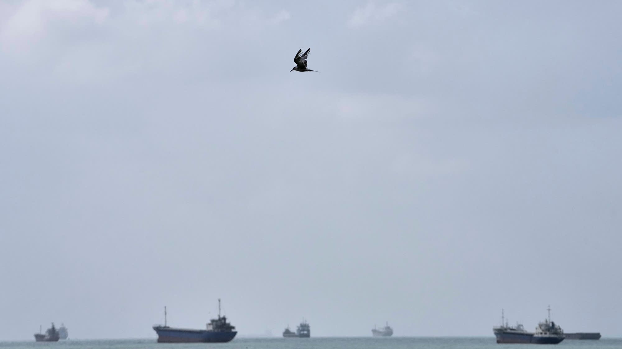 U.S. hits Iranian oil tankers, and other key Mideast developments U.S. hits Iranian oil tankers, and other key Mideast developments