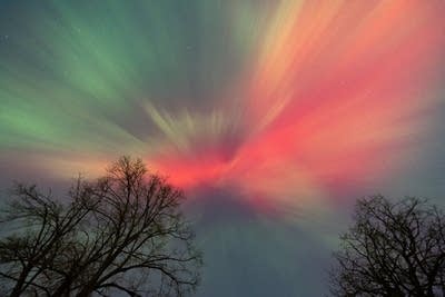 northern lights in Powderhorn Park