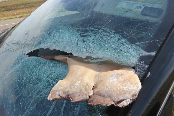 Woman almost killed by truck’s cargo on I-94