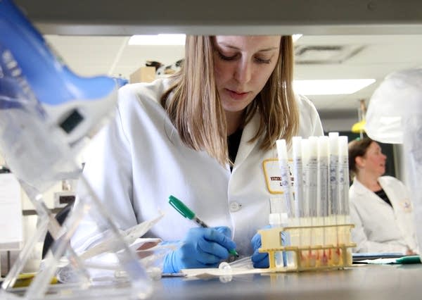 A student sets up test tubes in the UMN lab.