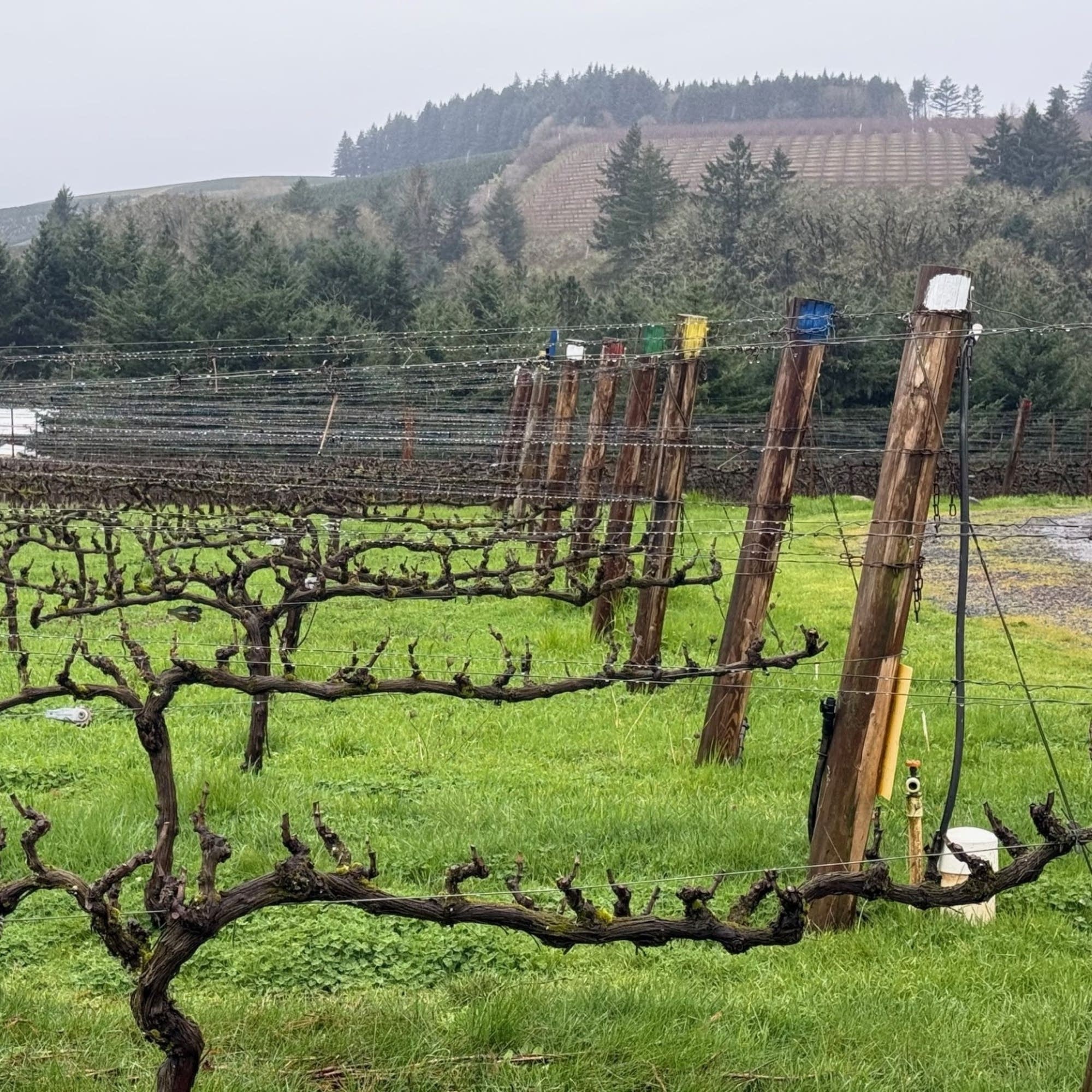 Wine country is heating up