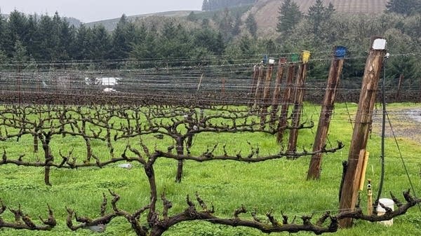 Wine country is heating up