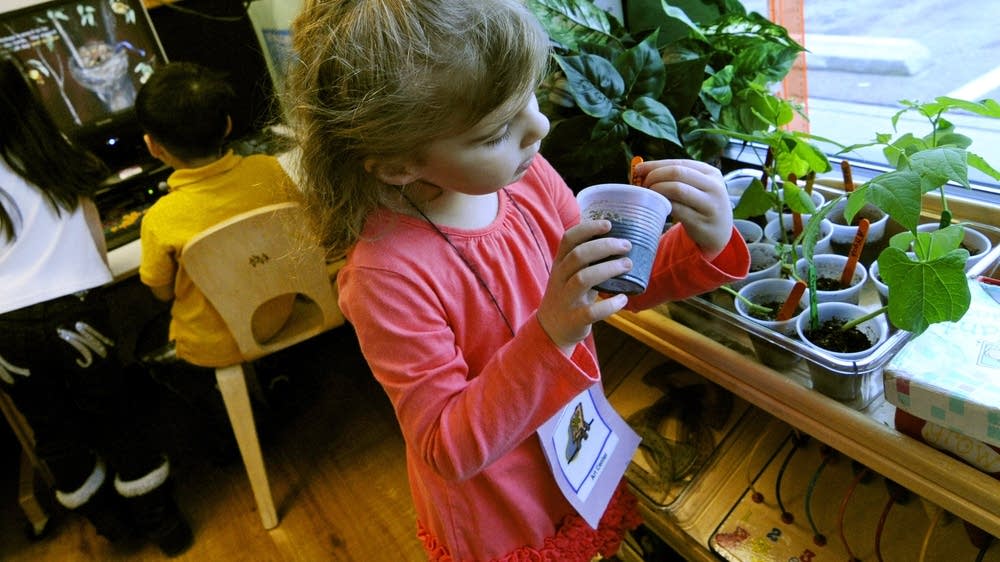 Preschool scholarships in Minn. tap market forces MPR News