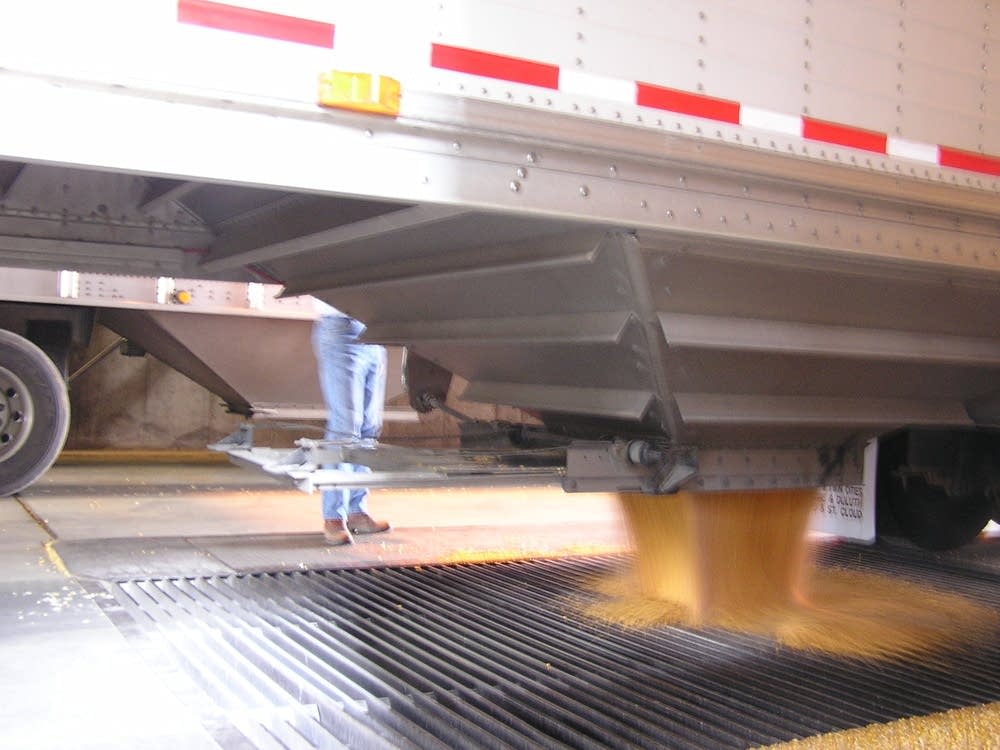 Unloading corn