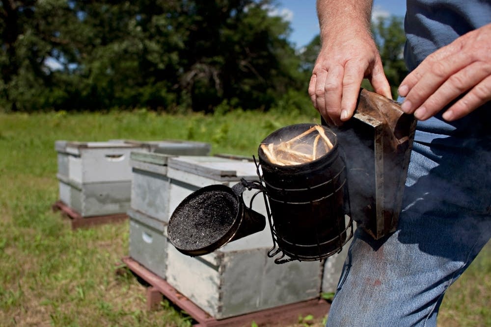 Hive health checkup