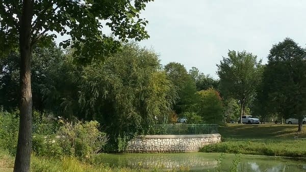 Delightful Sunday; warmer weather but little rain coming