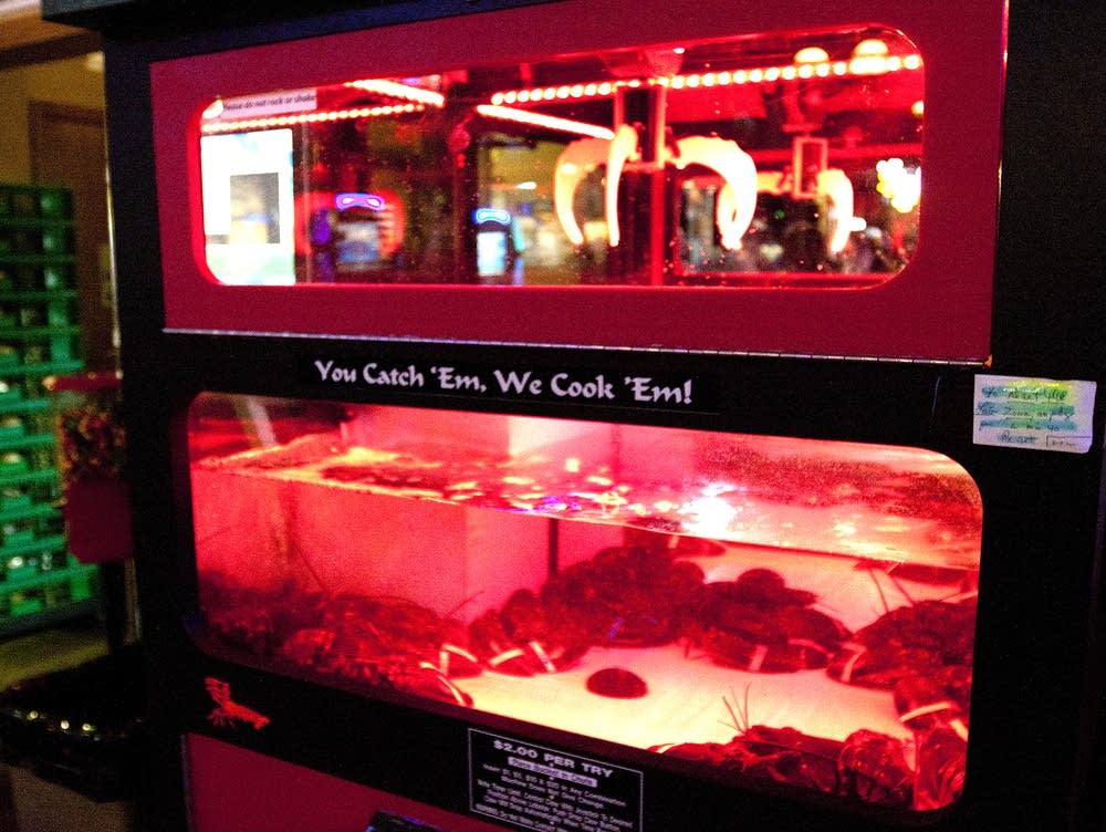New game gaining attention offers live lobsters as a prize