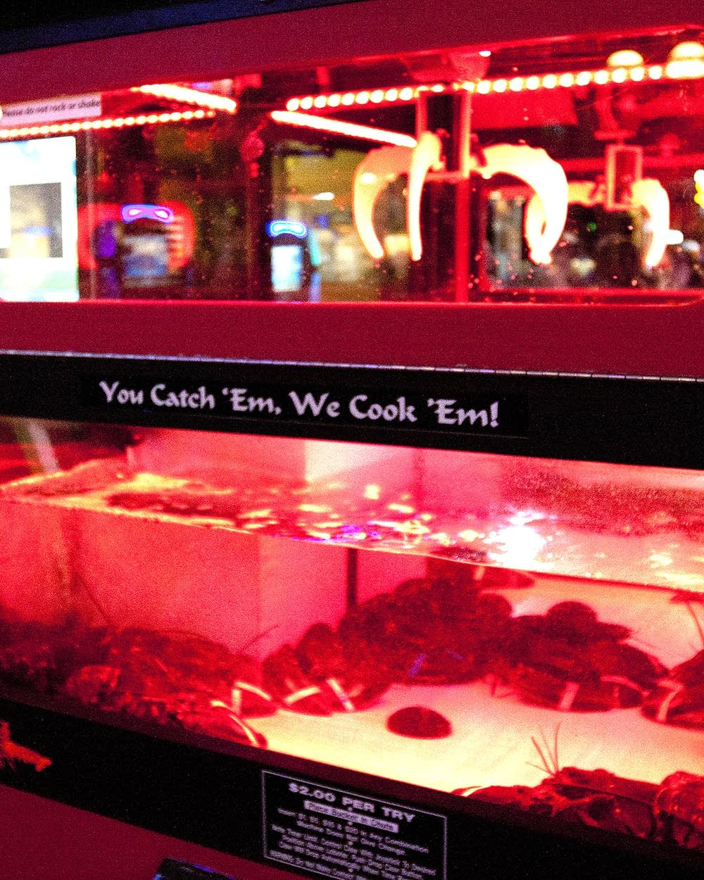 Lobster Claw Now In China! CGTN, 44 OFF