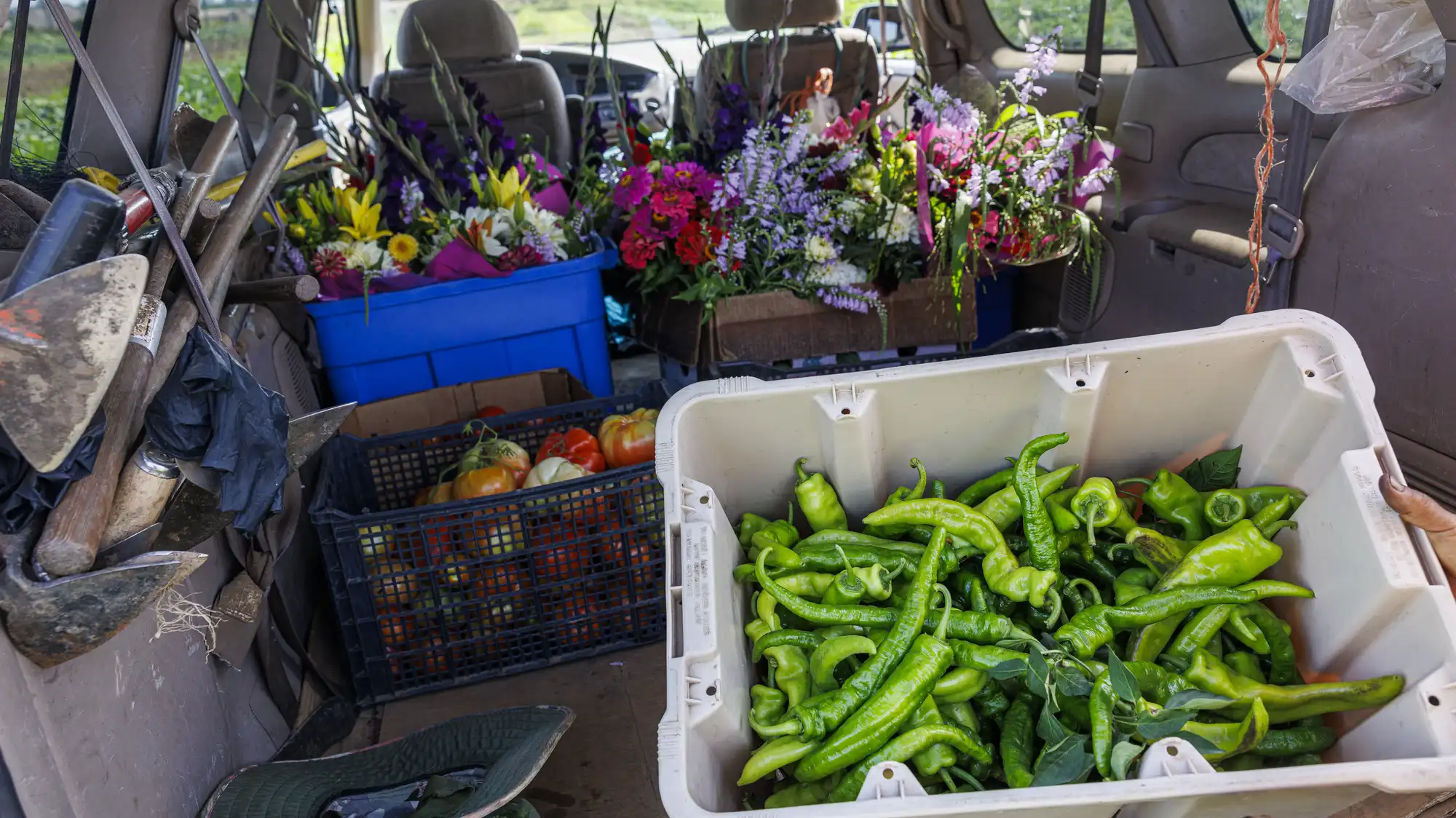 Minnesota Farm Bureau seeks to engage urban ag producers - Vimarsana News