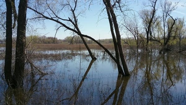 Weekend weather: Widely scattered showers, some thunderstorms