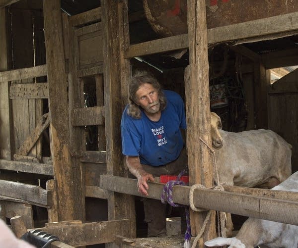 Steve Schwenn leans out of the goat pen.