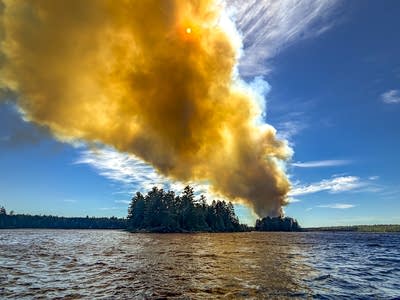 Wildfire