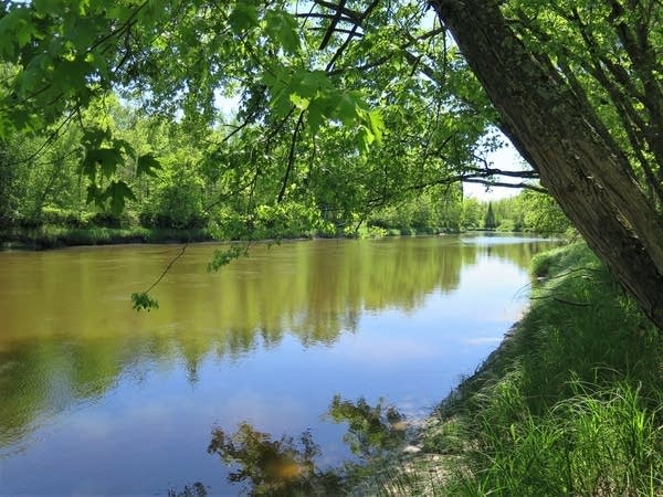 A river surrounded by trees.