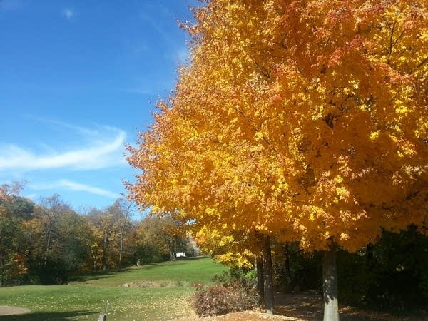 Fall Fever: Indian summer Friday brings last 70s?