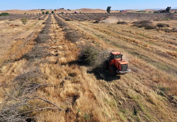 A historic drought threatening crops in the West could send food prices higher.