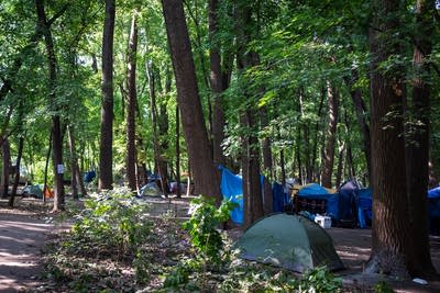 'We do what we have to do': Meet the elder protecting his neighbors at a St. Paul encampment
