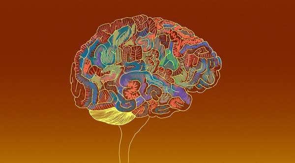 Brains and Losses: Part IV