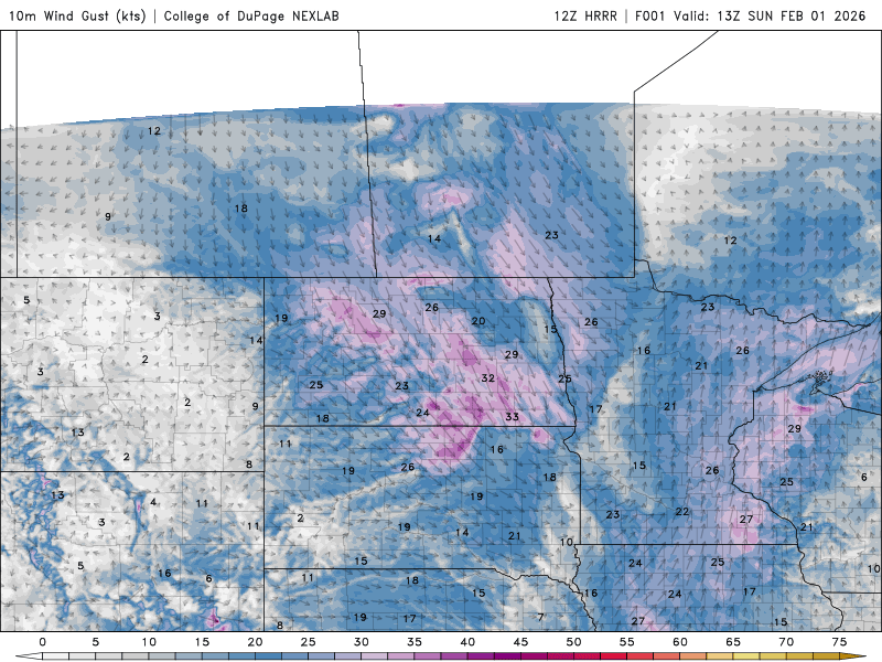 Wind speed and direction Sunday 7 a.m. to midnight