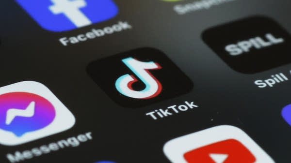 TikTok is here to stay