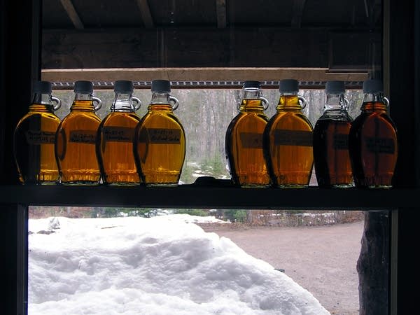 Minnesota's maple syrup production runneth over