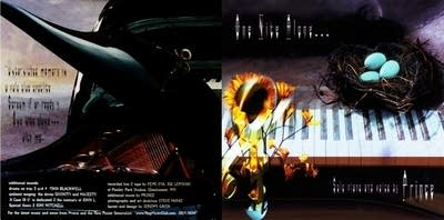 50f5a8-20210415-one-nite-alone