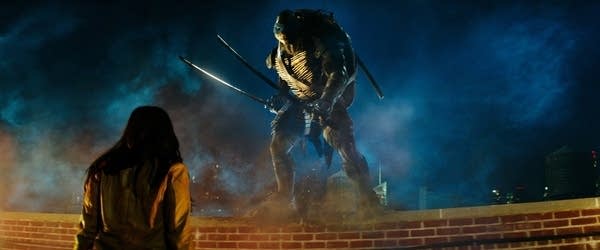 teenage mutant ninja turtles