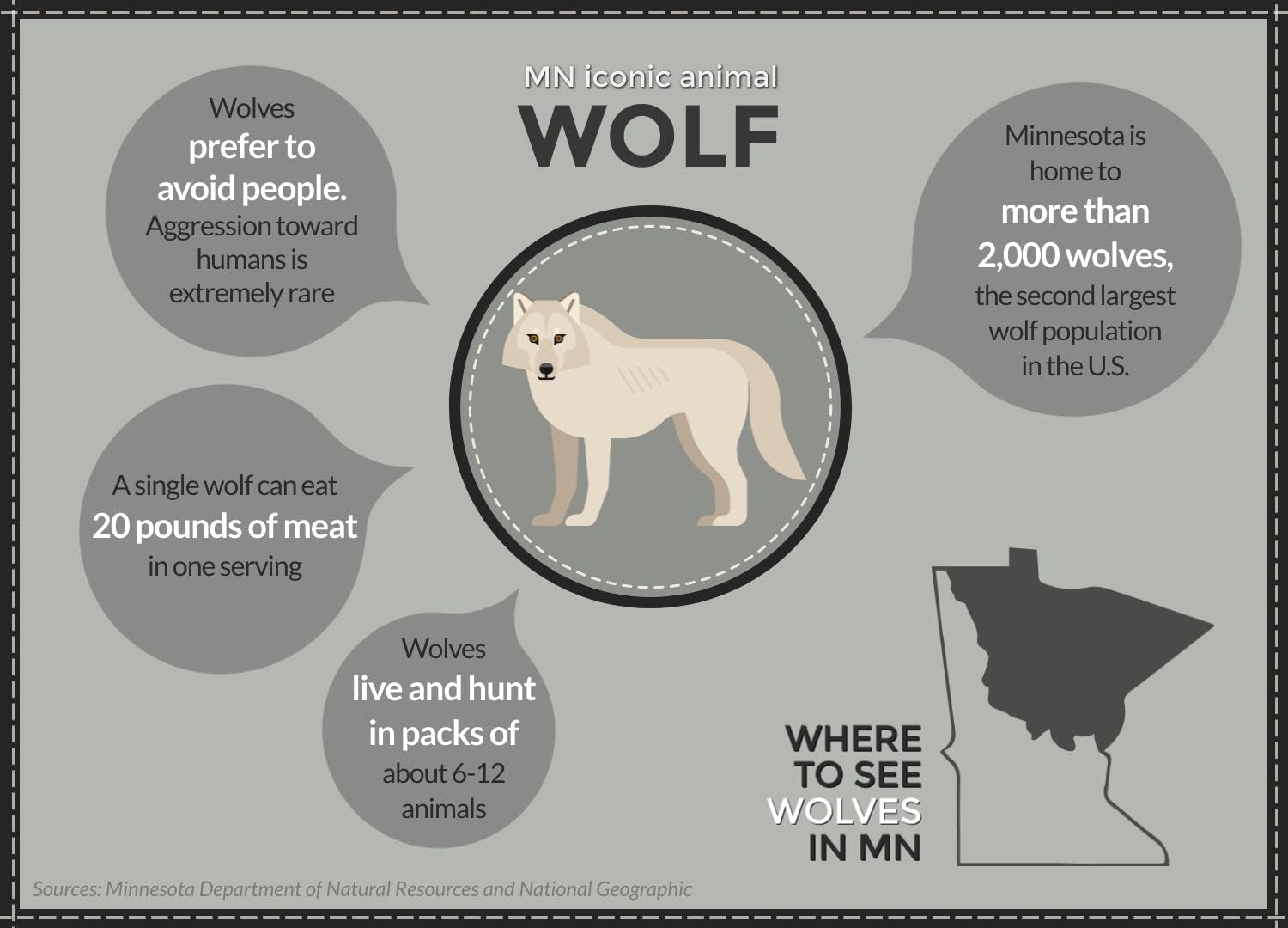 A field guide to Minnesota's iconic animals MPR News