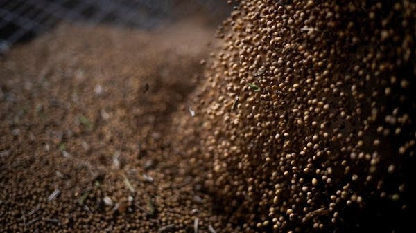 “I think what every soybean producer is hoping for now is that China actually starts to follow through,” said LSU economist Michael Deliberto. “Soybean sales have been made to China, and I think it's a step in the right direction to kind of put some of this trade uncertainty at ease.”