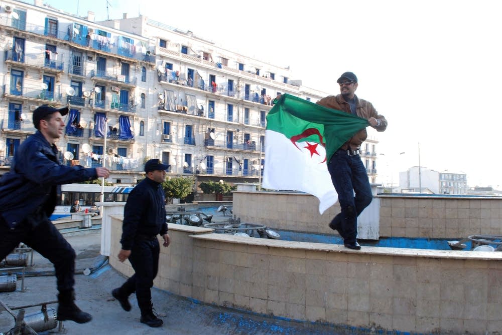 Algerian protester