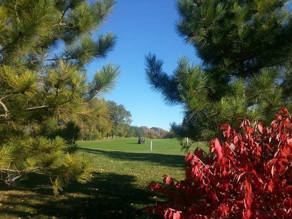 Fall color at the Huttner Weather Lab