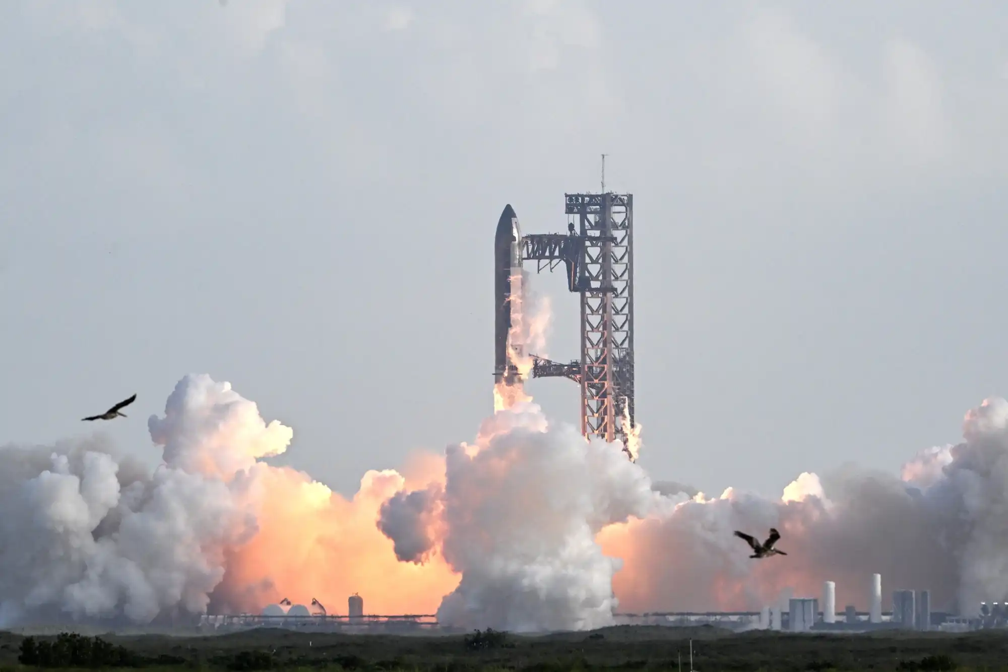 Should you be worried about SpaceX being in your 401(k)?