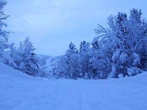 A winter scene in the country