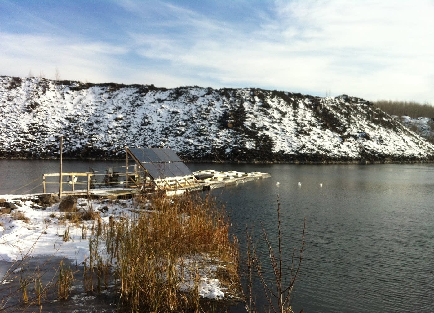 Can science settle the dispute over wild rice? Babbitt native says yes