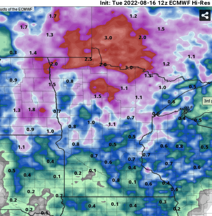 European model (ECMWF) rainfall forecast
