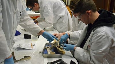 A 21st-century vocational high school