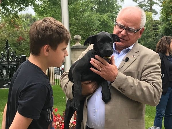 Gov. Tim Walz's dog, Scout