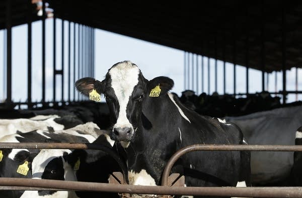 America is ignorant about its food