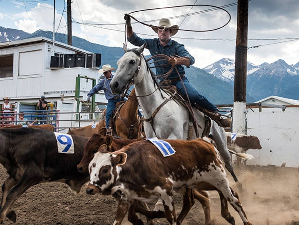Is Team Roping Dangerous