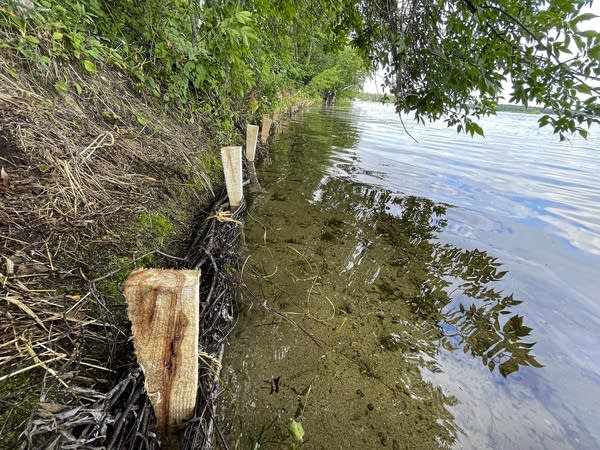 Trouble by the Water series