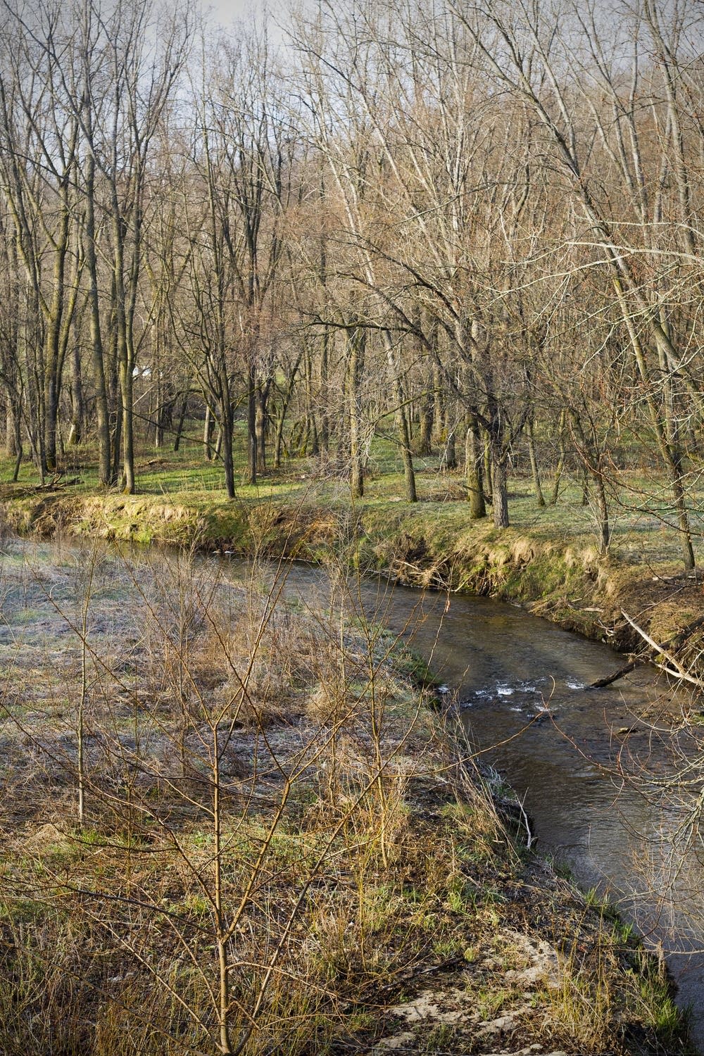 Hay Creek