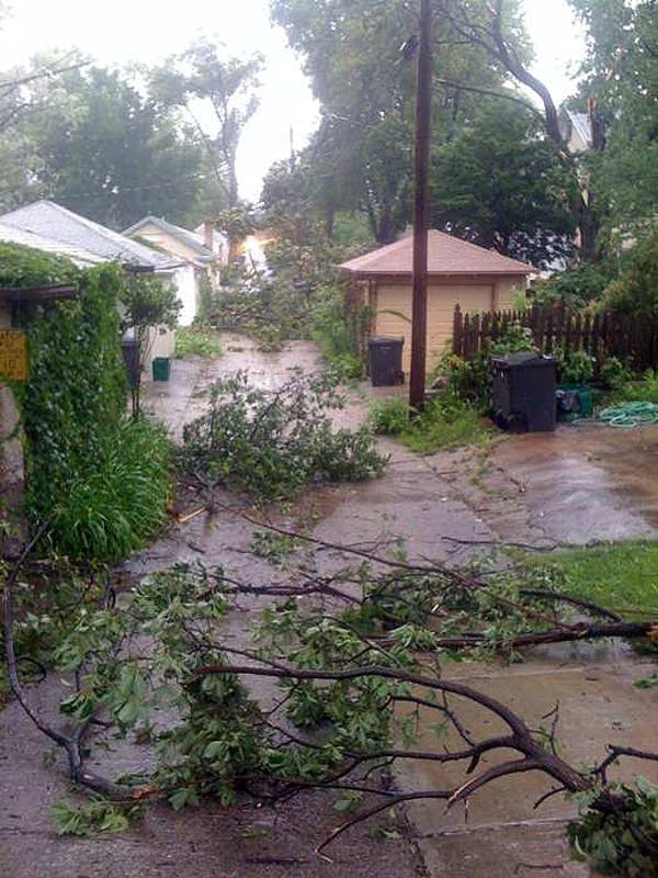 Trees down in Minneapolis