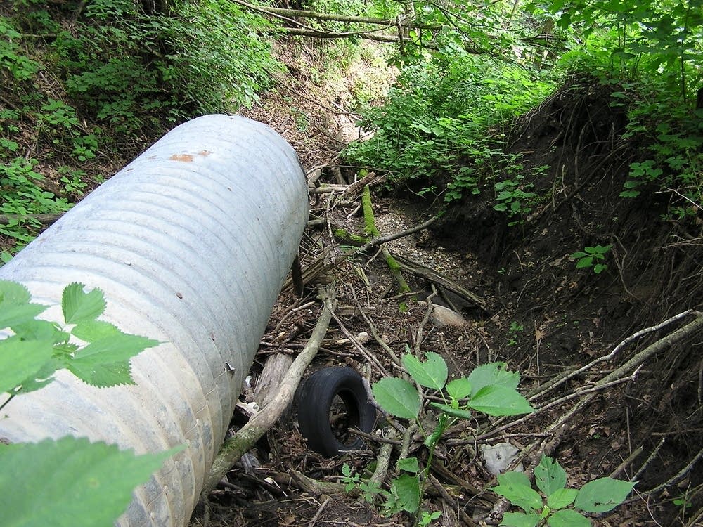 Ravine