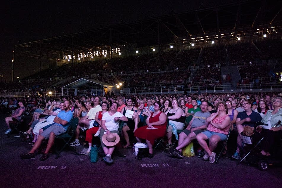 Packed Grandstand for cat videos