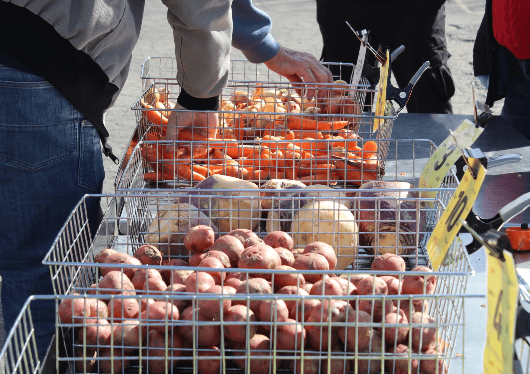 Vegetables in a basket 
