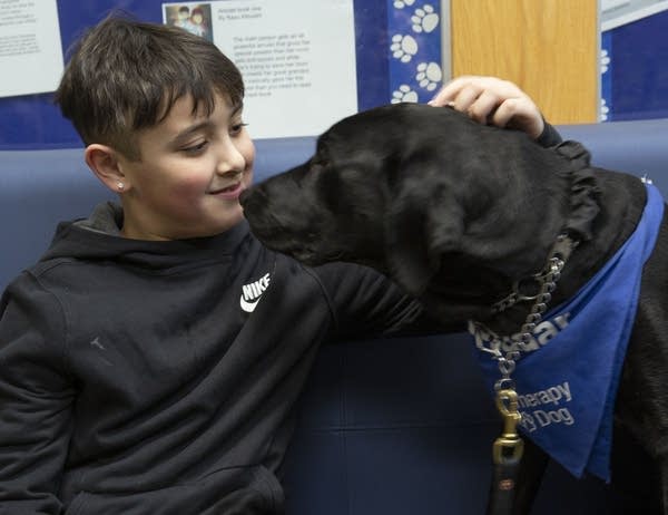 Oak Grove student Lucian Lally pets Radar during a stop in the hall.