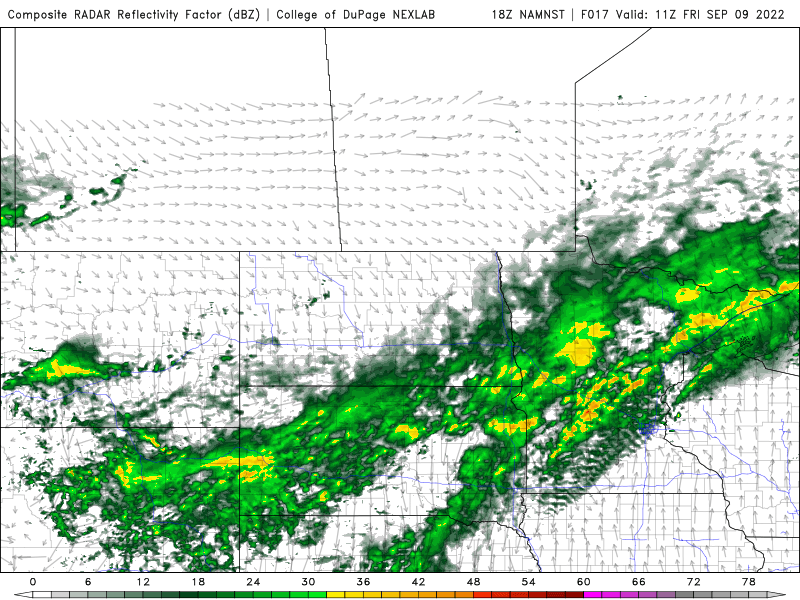 precip FRI 8pm
